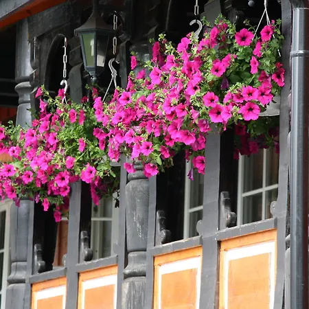 Holiday park Solvgarden