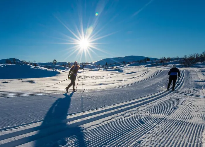 Tatil parkı Solvgarden Rysstad