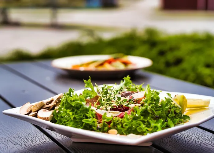 Solvgarden Tatil parkı