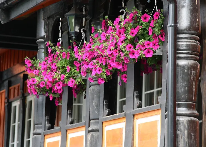 Tatil parkı Solvgarden